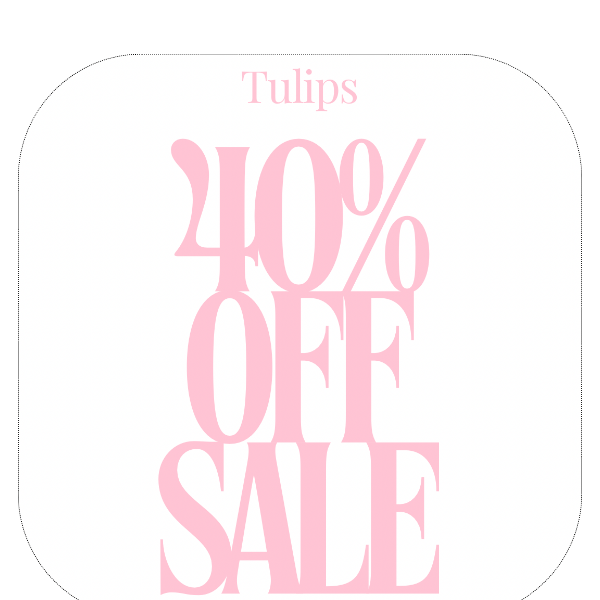 TULIPS 40% OFF FLASH SALE CONTINUES