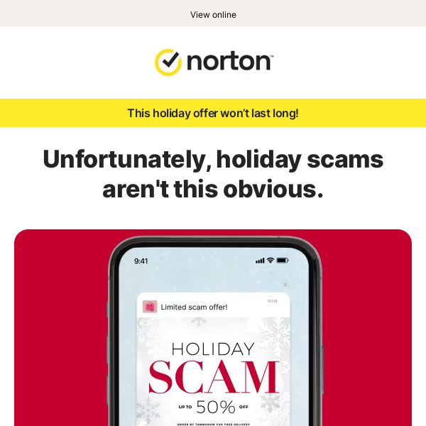 Holiday shopping? Take online scams off your list.