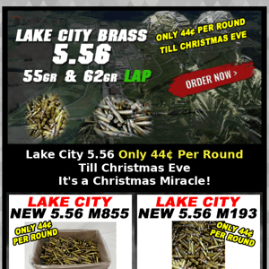 Lake City Plant 556 💥 Flash Sale