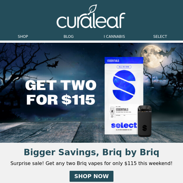 This Just In: MASSIVE Savings on Briq Today!