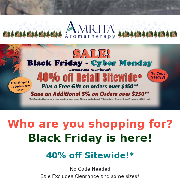 🎉 Don't Miss Out on Amrita's Black Friday Extravaganza!