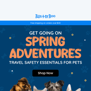 Traveling with pets made easy 🐾