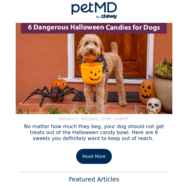 6 Dangerous Halloween Candies for Dogs