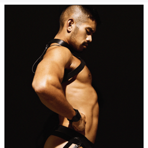 Back in Stock: Charlie Leather Harnesses.