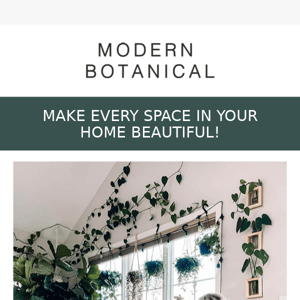 Turn your walls into stunning plant art