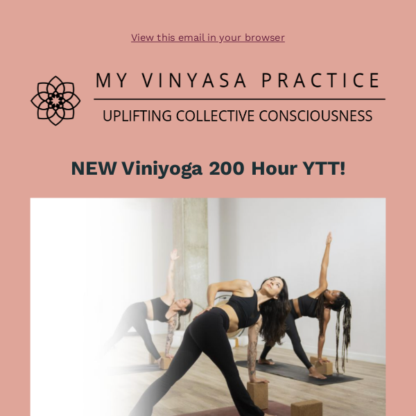 NEW Course: Viniyoga Teacher Training Pre-Registration Sale Launches Today!