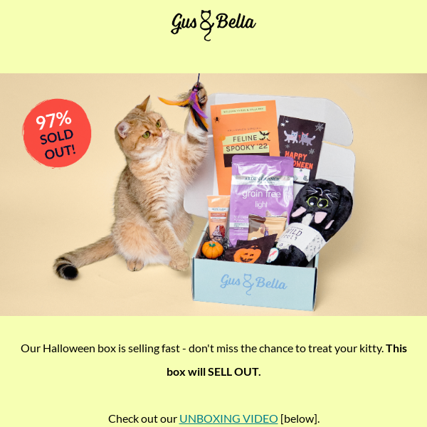 Your Feline Spooky Box is Waiting! 🦇
