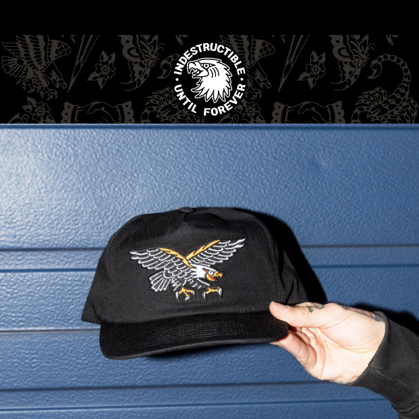 Did You See Our New Snapback?