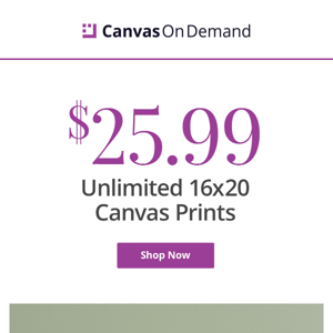 Snag a 24x30 canvas for $25 ➡️ You're saving $336! 😱 - Canvas On Demand