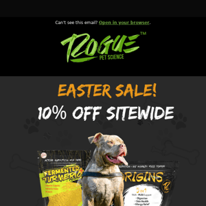 🔥 Easter Sale: 10% OFF! 🔥