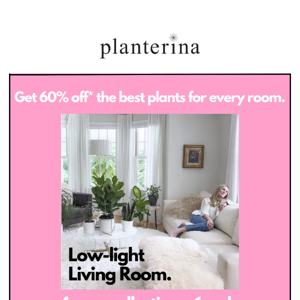 Save 60% with this code & shop by ROOM! 🌿