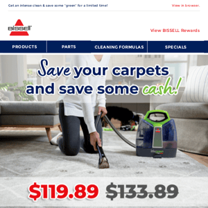 Little Green® ProHeat® Portable Carpet Cleaner—now under $120!