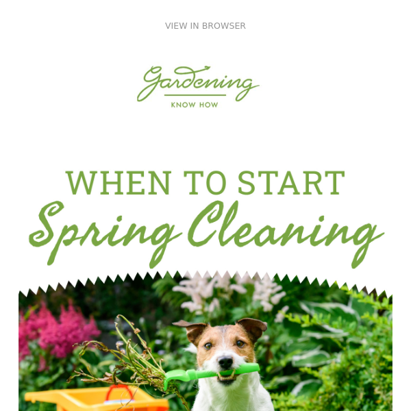 Spring Cleaning Tips For The Garden 🌸 