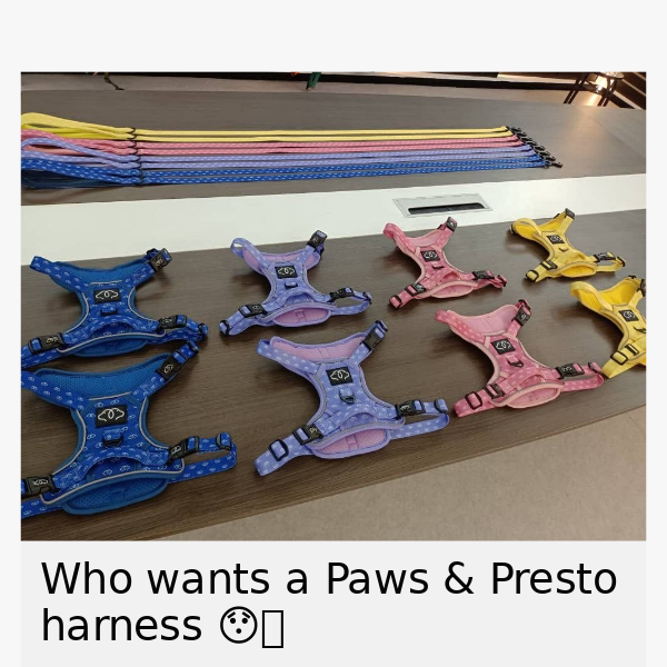 Paws & Presto Harnesses?