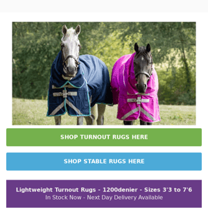 Lightweight Rugs - In Stock Now