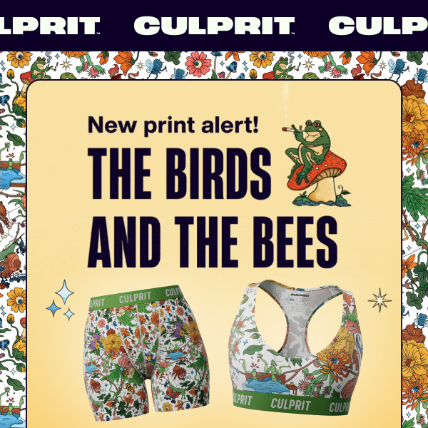 🚨 New Print Alert: The Birds And The Bees 🚨 - Culprit Underwear