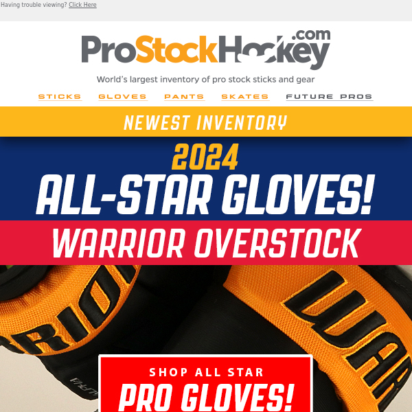 2024 NHL All Star Gloves – Warrior Overstock!