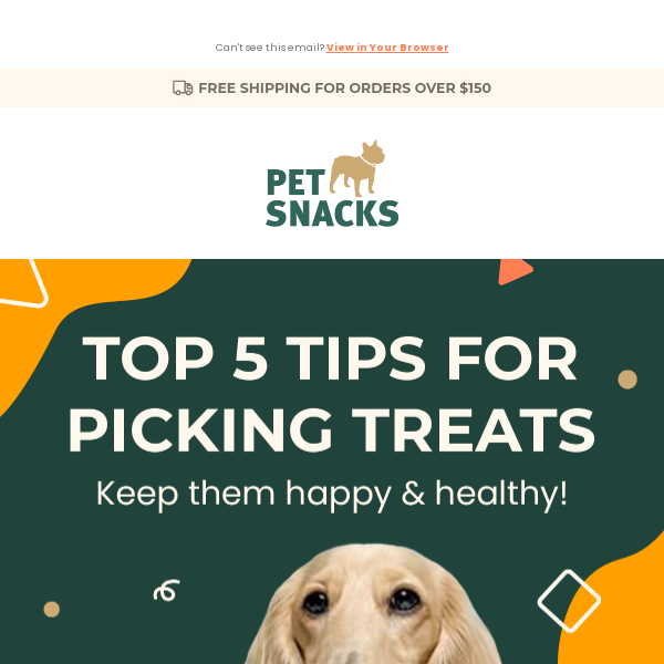 How to sniff out the best treats!