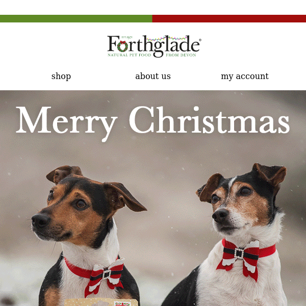 Merry Christmas from Forthglade 🐶🎄