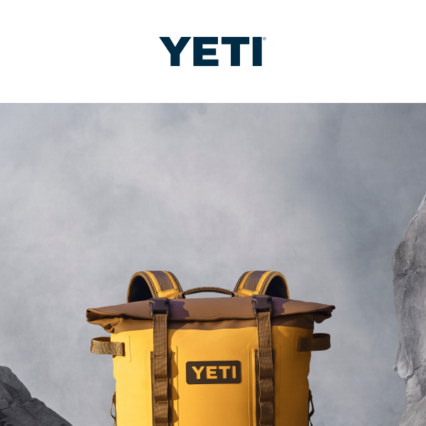 Explore The Shallows With Nordic Purple - Yeti