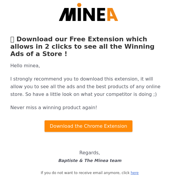 Download our Free Extension to instantly spy on the Best Ads of a Store