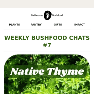 The Only Native Herb You Need! 🌿
