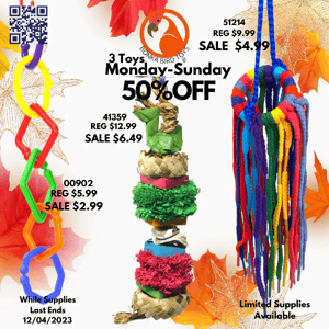 Bonka Bird Toys - 50% Off Weekly Sale! & Black Friday Sale Deals!