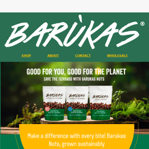 Good for You, Good for the Planet: Save the Cerrado with Barukas Nuts