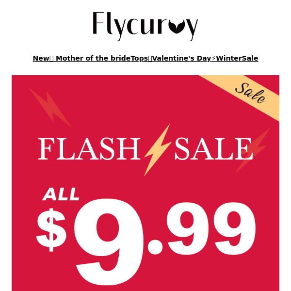 FlyCurvy, Hurry! Big Sale Ends Today! 📣