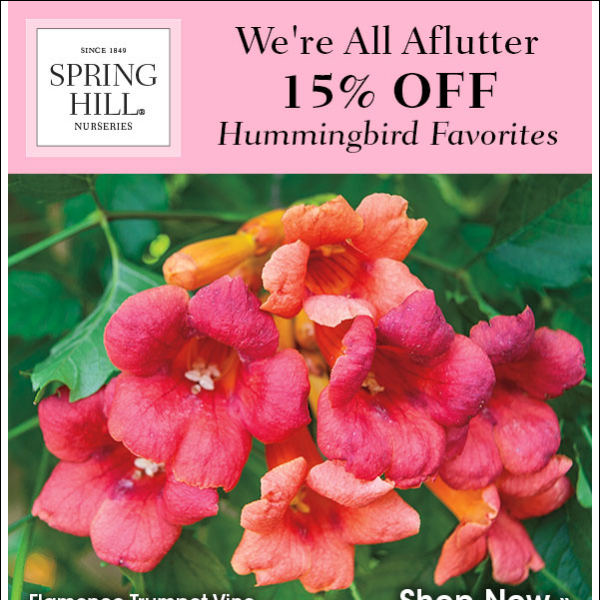 15% Off Hummingbird Favorites