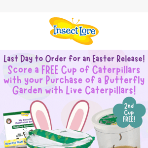 Last Chance for FREE Caterpillars for your Easter Butterfly Release! Hop to it!