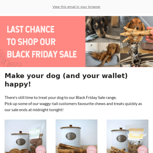 Only a Few Hours Left to Spoil Your Dog (& Save Money) 💸