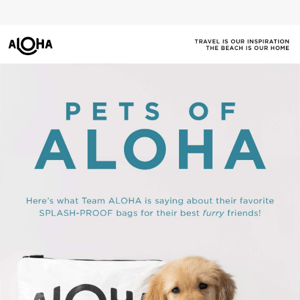 Pets Love ALOHA! 🐶🐱