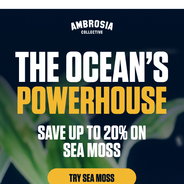 Save up to 20% on Sea Moss!