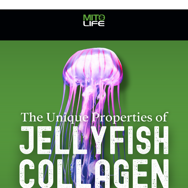 The Unique Properties of Jellyfish Collagen