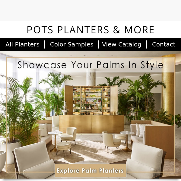 Capture the Elegance of Palms with These Stylish Planters