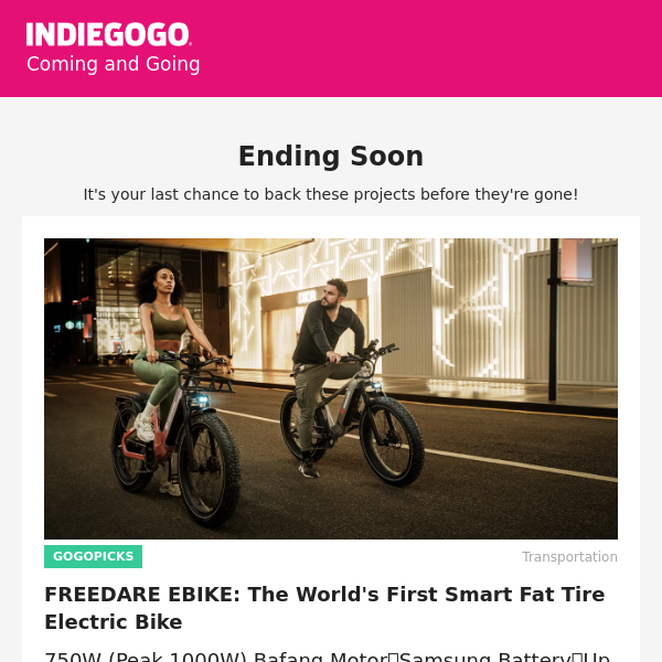 Coming and Going on Indiegogo