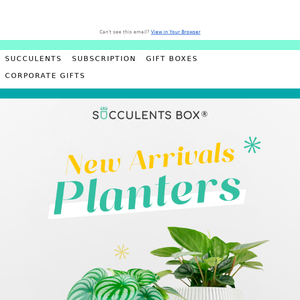 New Arrivals: Stylish Planters for Your Home