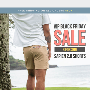 ...VIP Black Friday Sale Unlocks 🔓 Today