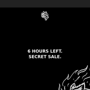 6 HOURS LEFT - SECRET SALE