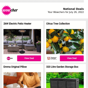 Wowchers for you: 2kW Electric Patio Heater | Citrus Tree Collection | Emma Original Pillow | 320 Litre Garden Storage Box | Premium Personalised Acrylic House Number Sign