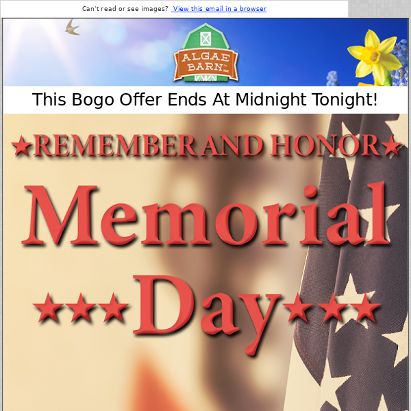 Final Hours For Our Memorial Day BOGO! + Only 24 Hours Left On Our May Deals!