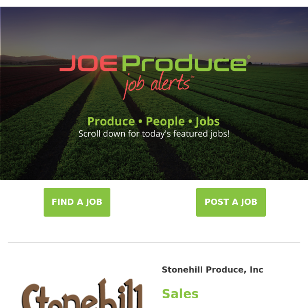 Brand New Jobs With Stonehill Produce, Turatti North America, Leo's Apples, Delina Fresh, Misionero Vegetables, Markon & Charlie's Produce