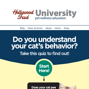 Do you understand your cat's behavior? 😸