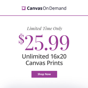 16x20 Canvas Prints for $25.99 - Your images could be decor gold