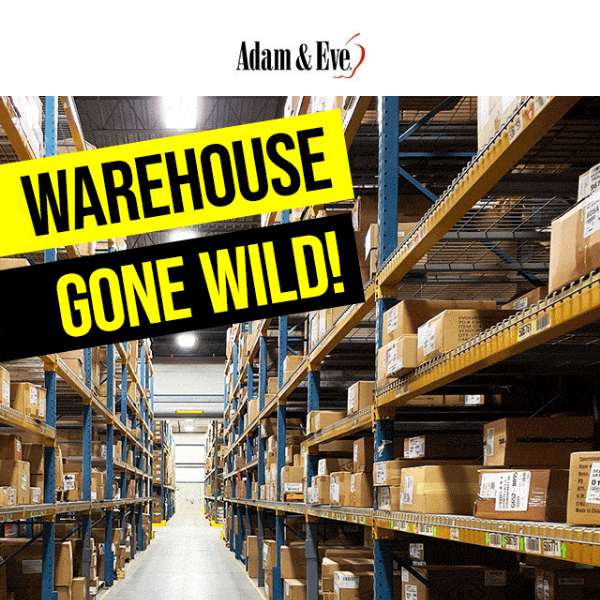 Warehouse Sale: Happening NOW! Take 33% off order