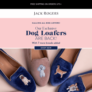 Our Dog Loafers are back! 🐶