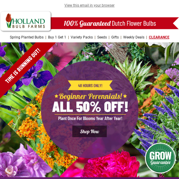 🌱 20 Beginner Perennials ALL 50% OFF!