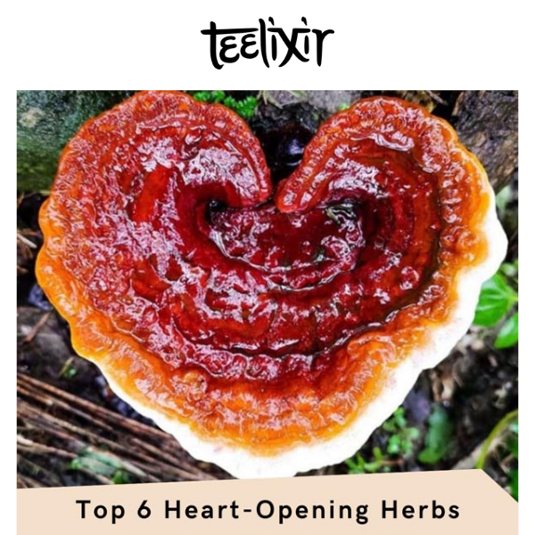 Top 6 Heart-Opening Herbs