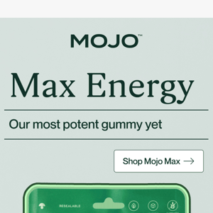 Everything you need to know about Mojo Max 🍄